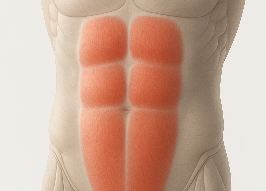 Entrenamientos Pectus chatgpt image 6 ago 2025, 16 14 03.